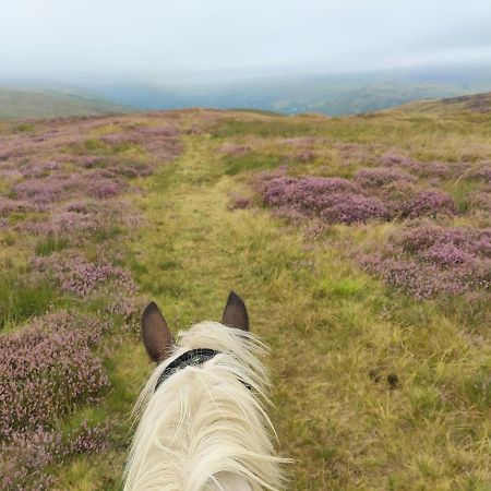 Pentre Riding Stables Hotel Abercraf Bagian luar foto