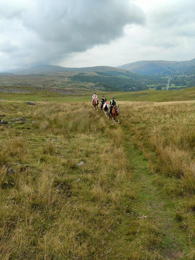 Pentre Riding Stables Hotel Abercraf Bagian luar foto